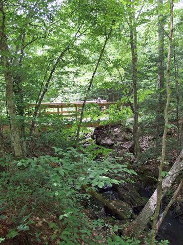 Andee stands on a footbridge at Lyme Hill in western New Hampshire