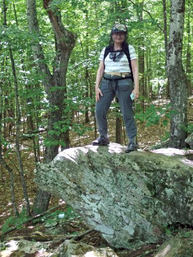 Andee atop Lyme Hill in western New Hampshire