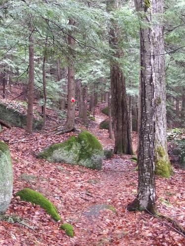 West Ridge Trail at Edward MacDowell Lake Flood Control Area at Peterborough in southwestern New Hampshire