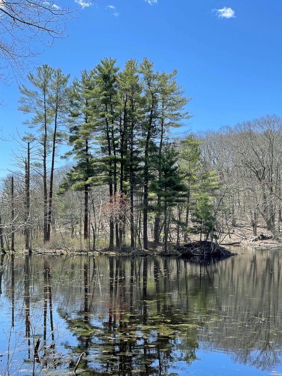 pond in April at Mainstone Farm in eastern MA