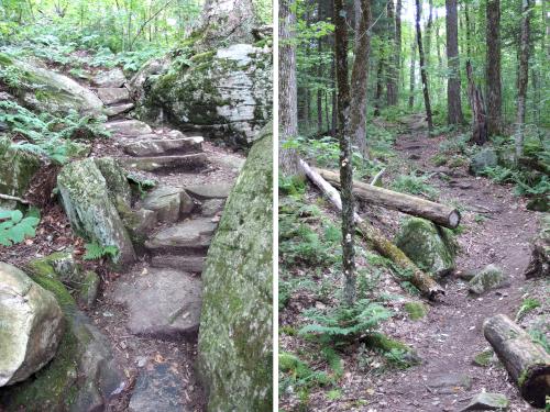 LT/AT trail to Maple Hill in southern Vermont