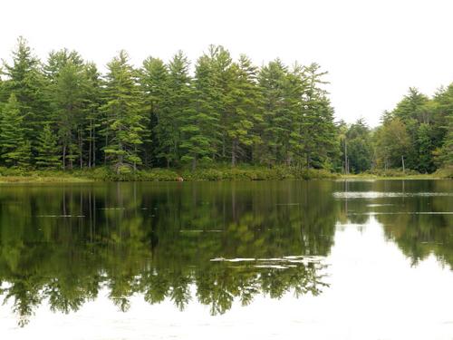 Trout Pond near Mary's Mountain in eastern New Hampshire