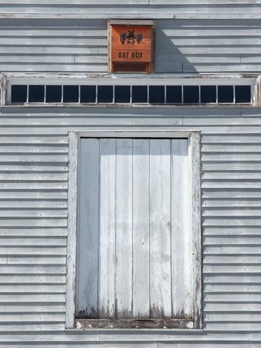 bat box on the barn at Massabesic Audubon Center in southern New Hampshire