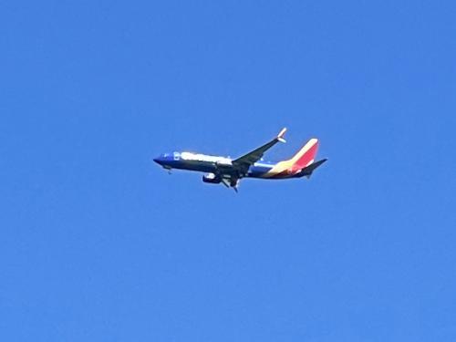 airplane in May at Massabesic Audubon Center in southern NH