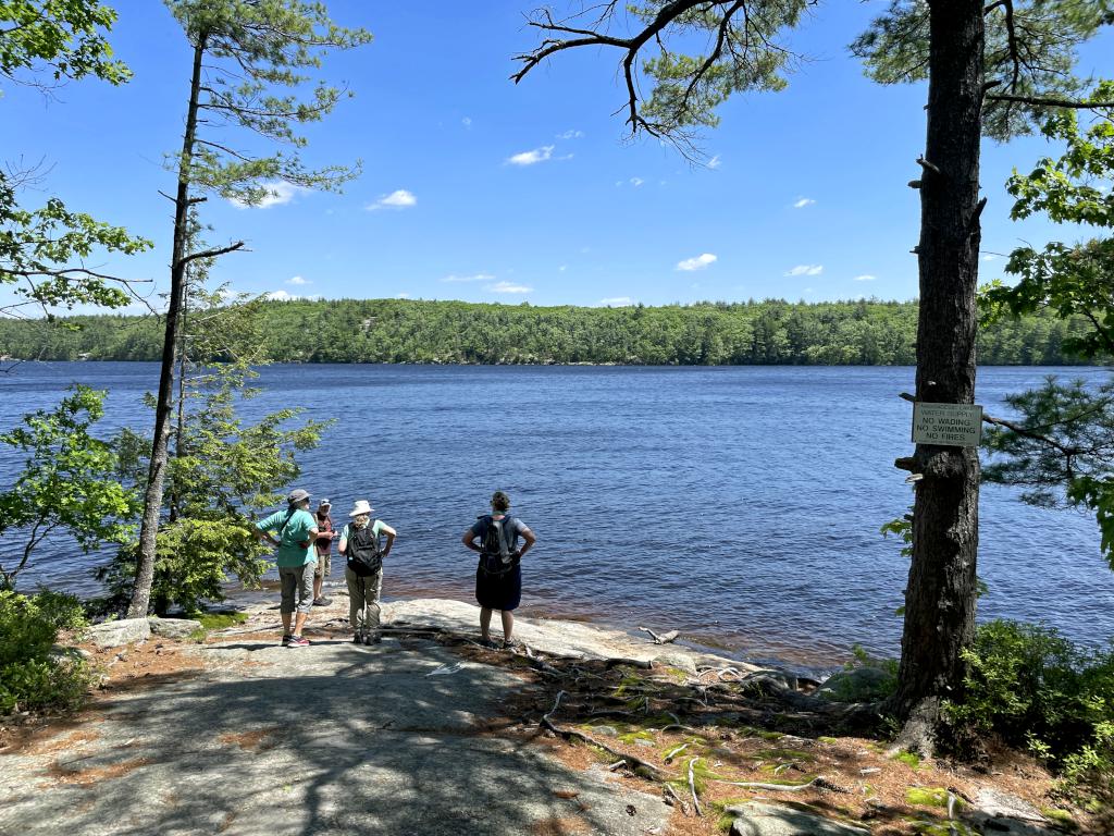 lake view in May at Massabesic Audubon Center in southern NH