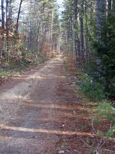 straight stretch of old railroad bead at Mast Yard State Forest in southern New Hampshire