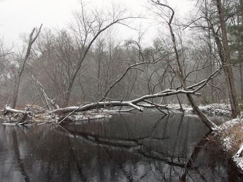 Lamprey River at Mast Road Natural Area in southeastern New Hampshire