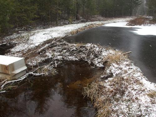 wet road at Mast Road Natural Area in southeastern New Hampshire