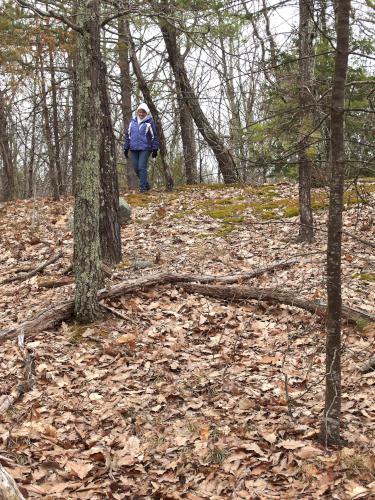 summit in April at Mayflower Hill in southern New Hampshire