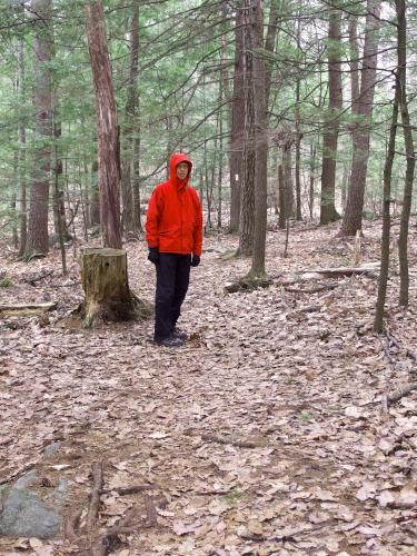 trail in April at Mayflower Hill in southern New Hampshire