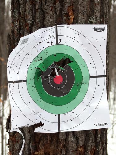 gun targets in the woods on the way to McCoy Mountain in southern New Hampshire