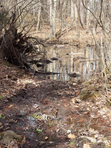 flooded trail in April on the Jay McLaren Rail Trail in northeast Massachusetts