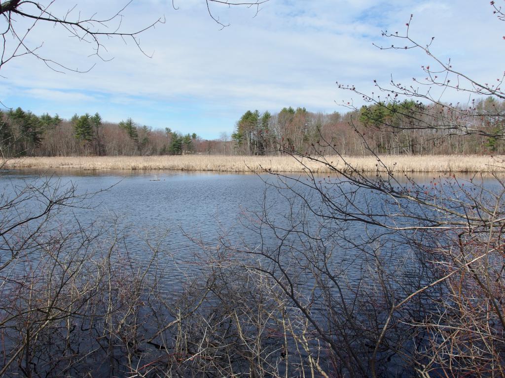 view in April off the Marshview Trail near the Jay McLaren Rail Trail in northeast Massachusetts