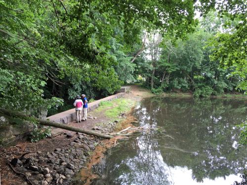 dam at Meadow Brook in northeastern Massachusetts