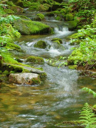 Eddy Brook on the way to Mendon Peak in Vermont