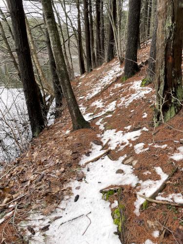 trail in April at Middleton Pond in northeast MA