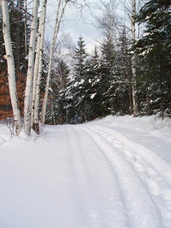 snowy entry road to Milan Hill in northern New Hampshire