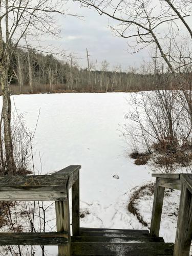 pond in January at Manchester-Essex Wilderness Conservation Area near Essex in northeast Massachusetts