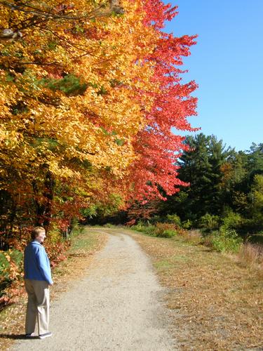 autumn visitor at Mine Falls Park in New Hampshire