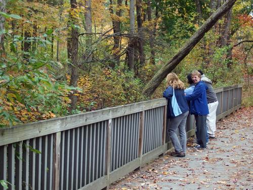 hikers in Mine Falls Park in New Hampshire