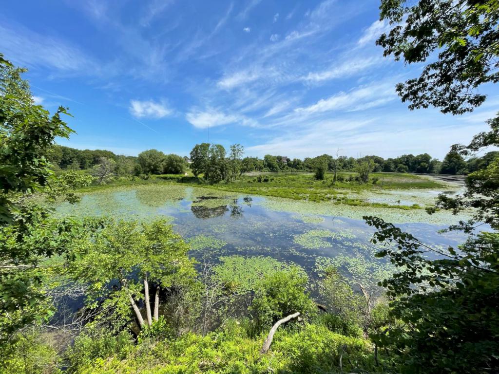 oxbow lake in June at Mine Falls Park in New Hampshire