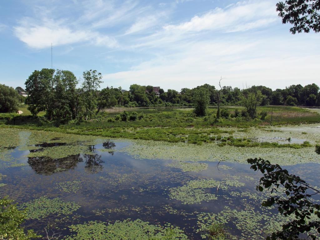 oxbow lake in June at Mine Falls Park in New Hampshire