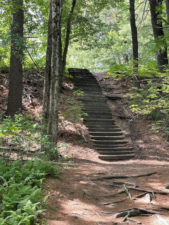 steps in June at Mine Falls Park in New Hampshire