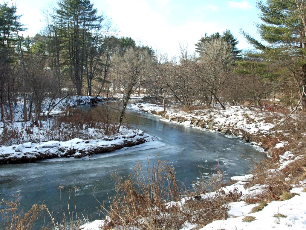 the brook in January at Mink Brook Nature Preserve in southwest New Hampshire