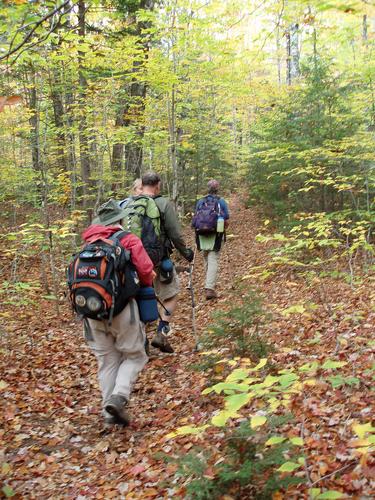 trail to North Moat Mountain in New Hampshire