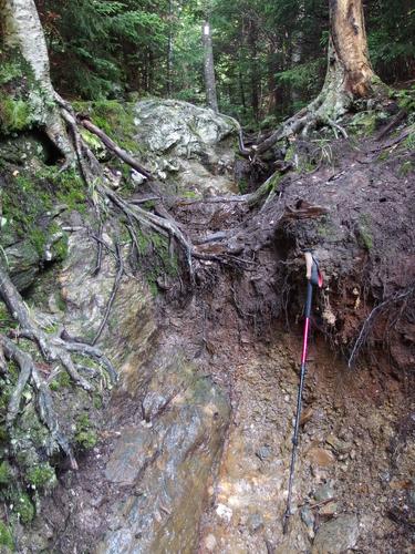 bad trail section at Molly Stark Mountain in northern Vermont