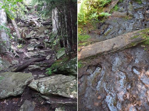 Long Trail to Molly Stark Mountain in northern Vermont