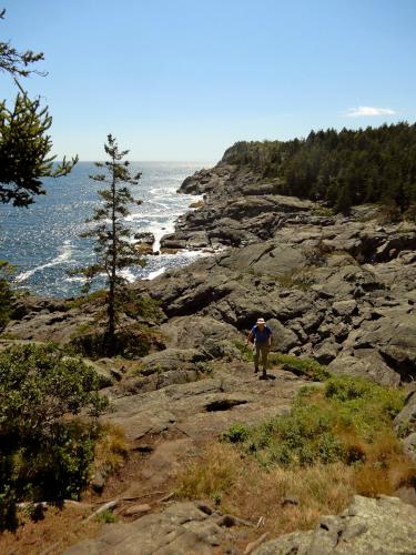 trail in September on Monhegan Island off the coast of Maine