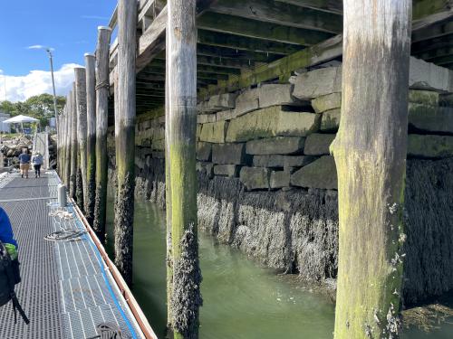 wharf in August near Monroe Island in Maine