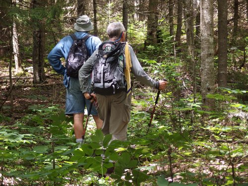 Lance and Dick bushwhack up to Moody Ledge in New Hampshire