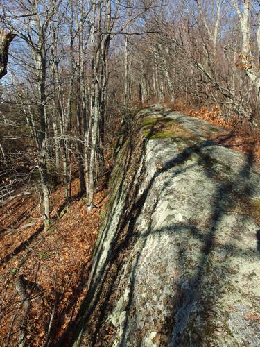 ledgy trail on Mount Moosalamoo in northern Vermont