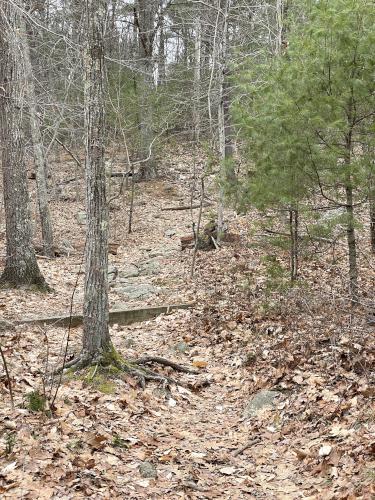 Summit Trail in December at Moose Hill in eastern Massachusetts