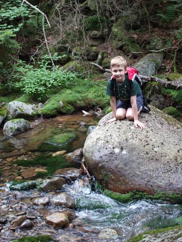 hiker on the Gorge Brook Trail to Mount Moosilauke in New Hampshire