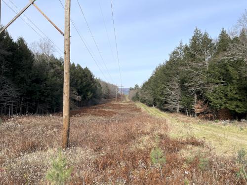 powerline swath in November at Moseley Hill in eastern VT