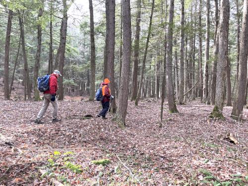 Len and Chuck on the AT in November at Moseley Hill in eastern VT