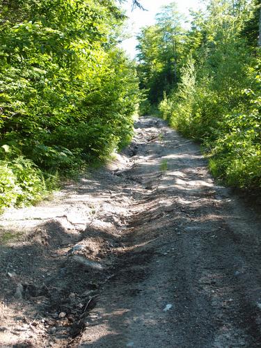 road walk on the way to Mowglis Mountain in New Hampshire