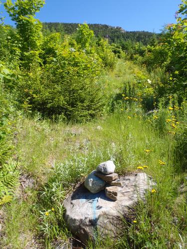 trail-marker cairn on the way to Moxie Mountain in Maine