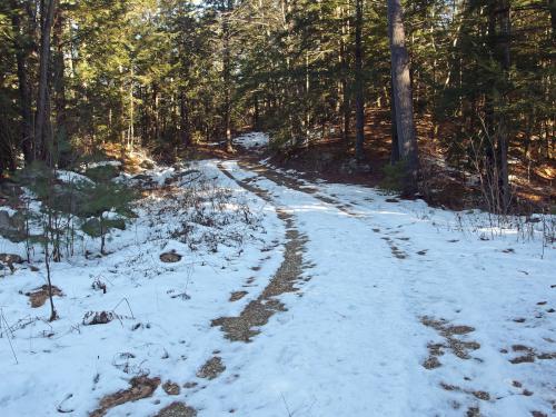 woods road in December at Mulligan Forest in southern New Hampshire