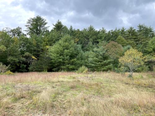 field in September at Muriel Church Trail in southern NH