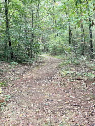 trail in September at Muriel Church Trail in southern NH