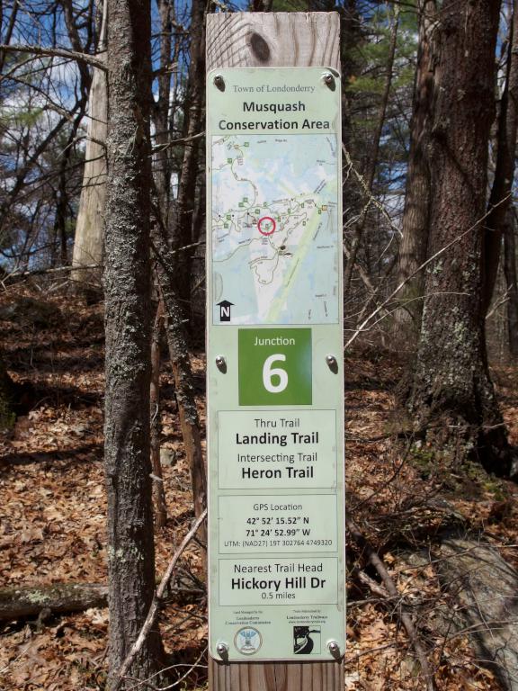 fabulous trail-junction sign at Musquash Conservation Area in Londonderry NH