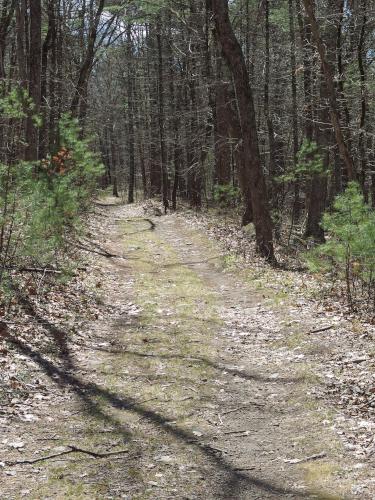 hiking trail at Musquash Conservation Area in Londonderry NH