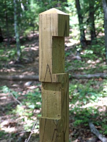 trail workers at Musquash Conservation Land in New Hampshire