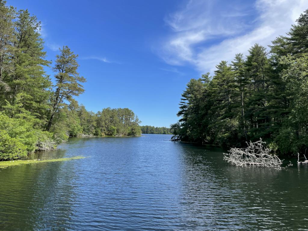 East Head Reservoir in June at Myles Standish State Forest in eastern Massachusetts