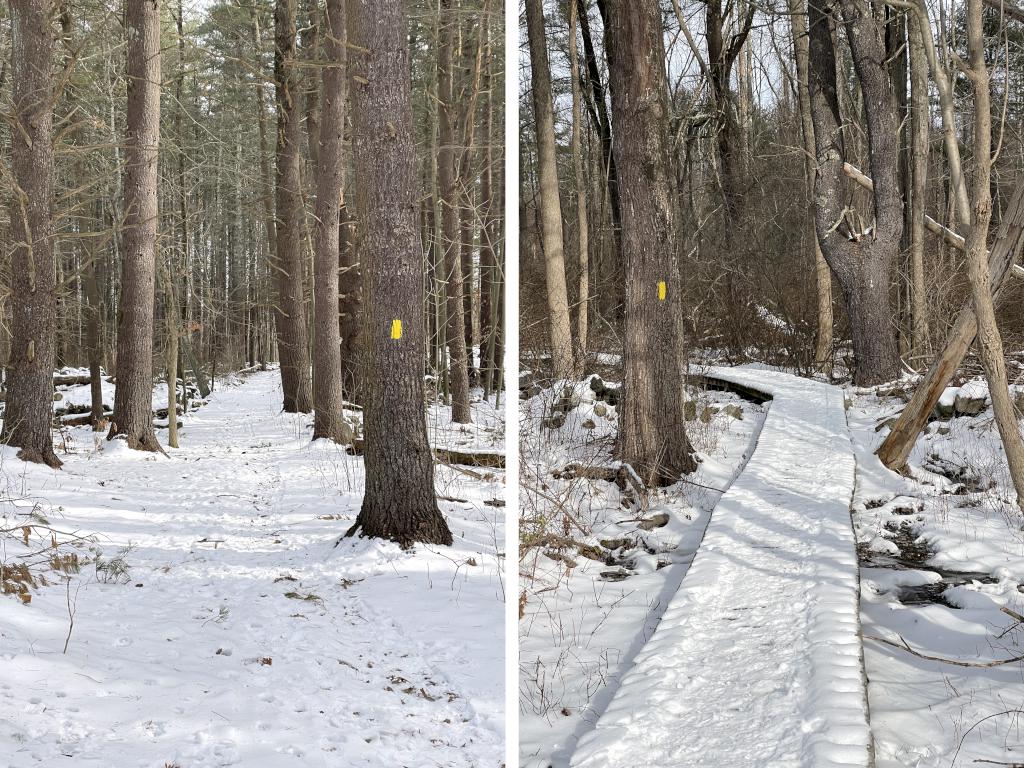 trails in January at Nagog Hill Conservation Land in northeast MA