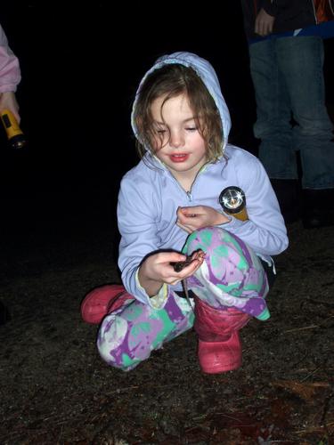 Spotted Salamander in hand